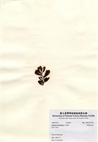 藏品(厚葉馬尾藻)的圖片